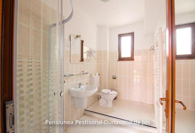 اتاق استاندارد, Pensiunea Pestisorul