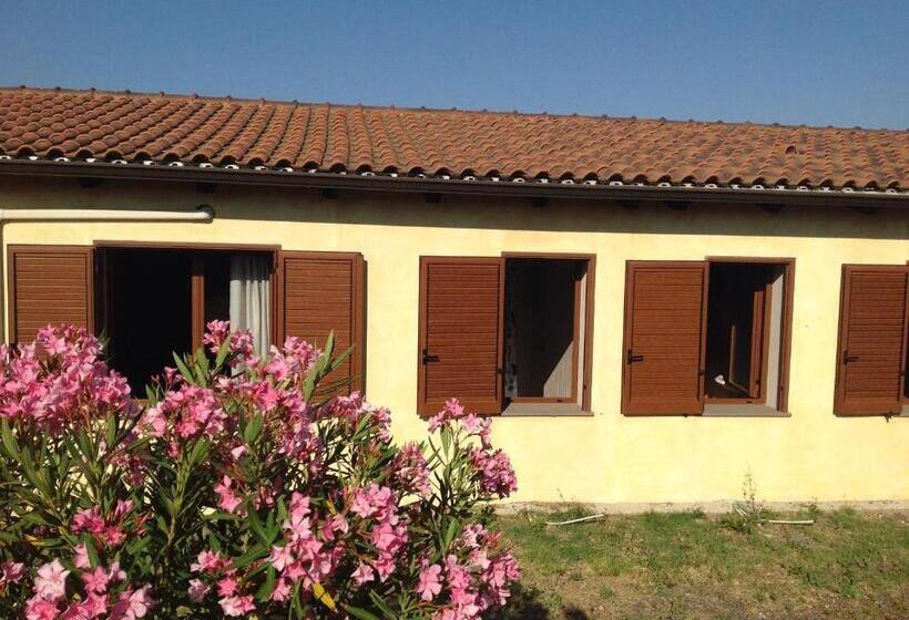 Номер Стандарт, Agriturismo Sa Murta In Sennariolo Oristano