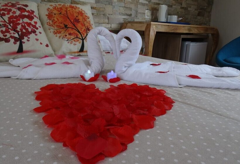 Номер Стандарт, Hostal La Paloma Ii   Hotel Calpe Grupo