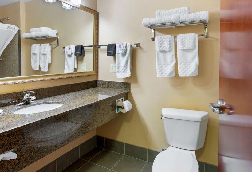Люкс, Best Western Plus Fossil Country Inn & Suites