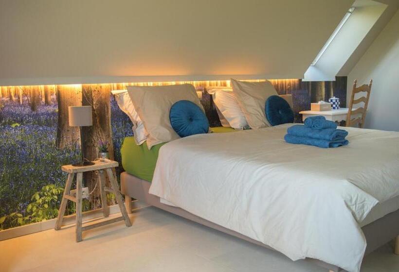 Номер Стандарт, B&b De Zavelaar