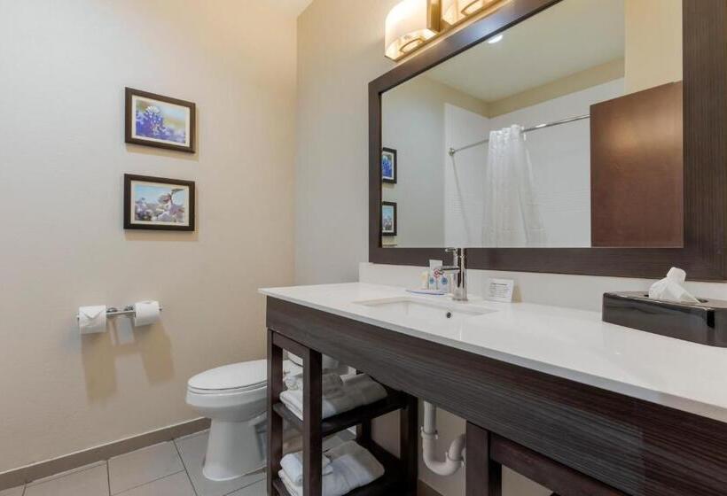 ２ダブルベッドのスタンダードルーム, Comfort Inn & Suites Balch Springs  Se Dallas