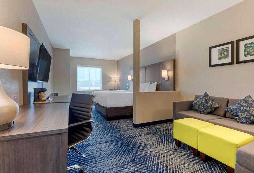 身障者適用スイートルーム, Comfort Inn & Suites Balch Springs  Se Dallas