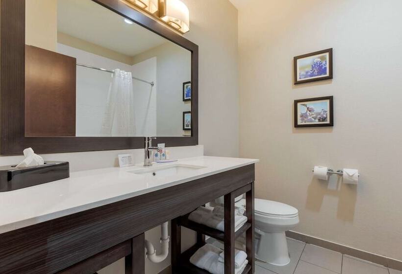 ２ダブルベッドのスタンダードルーム, Comfort Inn & Suites Balch Springs  Se Dallas