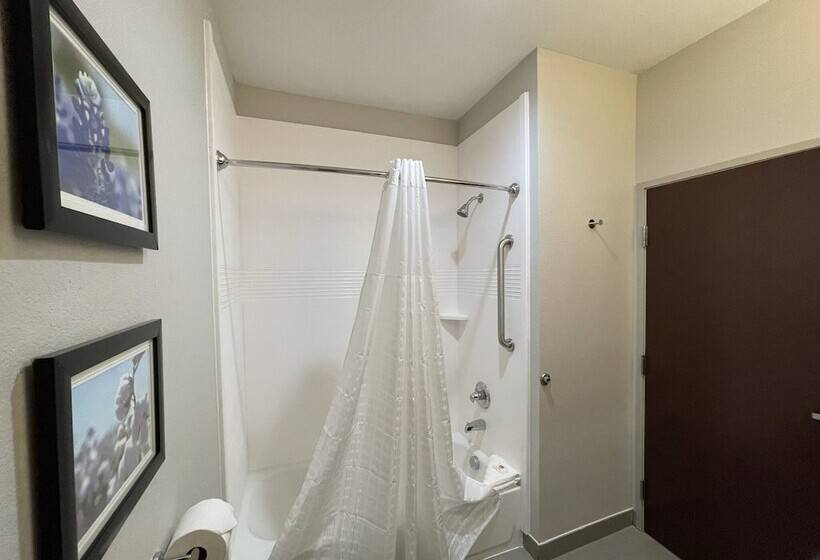 身障者適用スイートルーム, Comfort Inn & Suites Balch Springs  Se Dallas