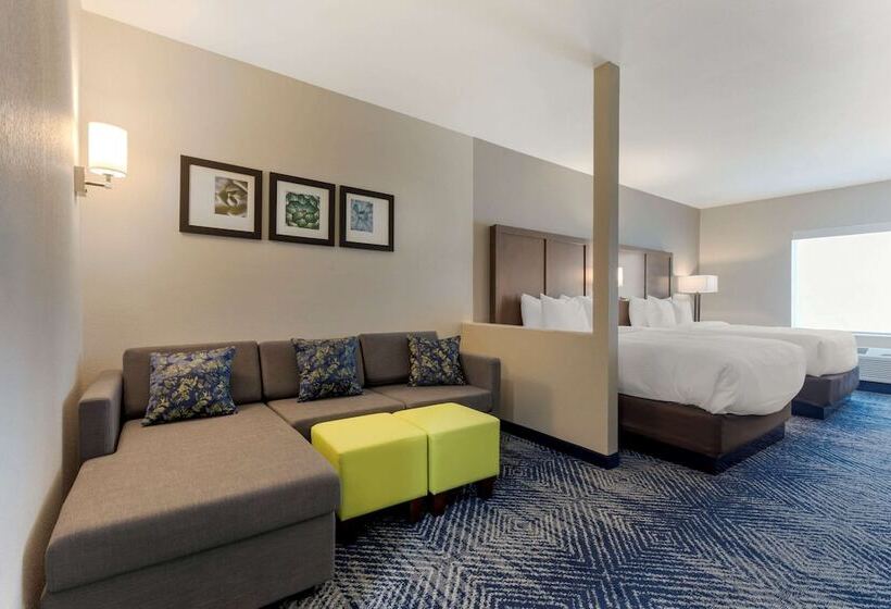 身障者適用スイートルーム, Comfort Inn & Suites Balch Springs  Se Dallas