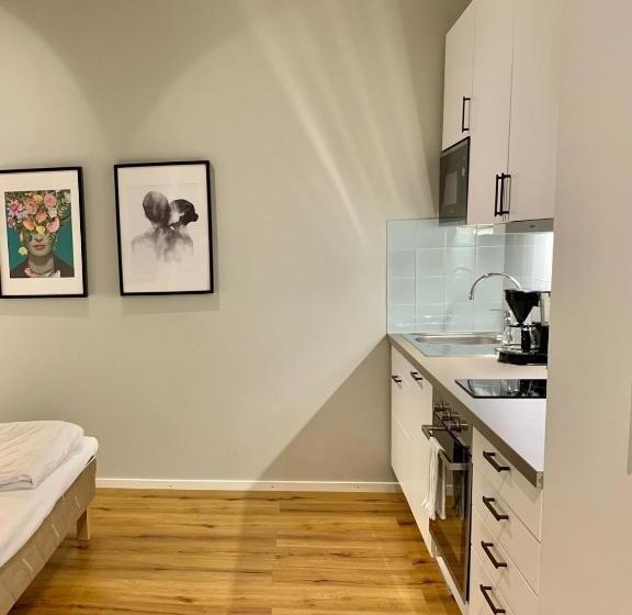 إستوديو قياسى, Foundry Hotel Apartments