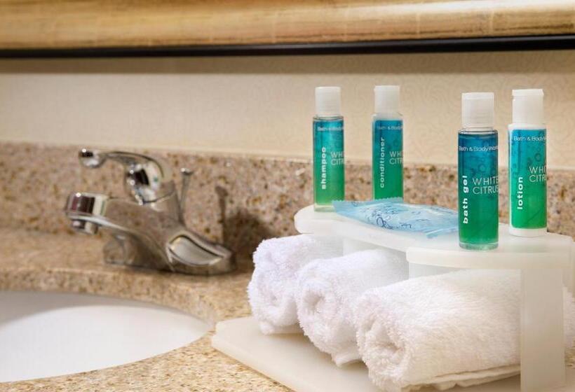 标准间, Holiday Inn Express & Suites San Antonio West Sea World Area, An Ihg