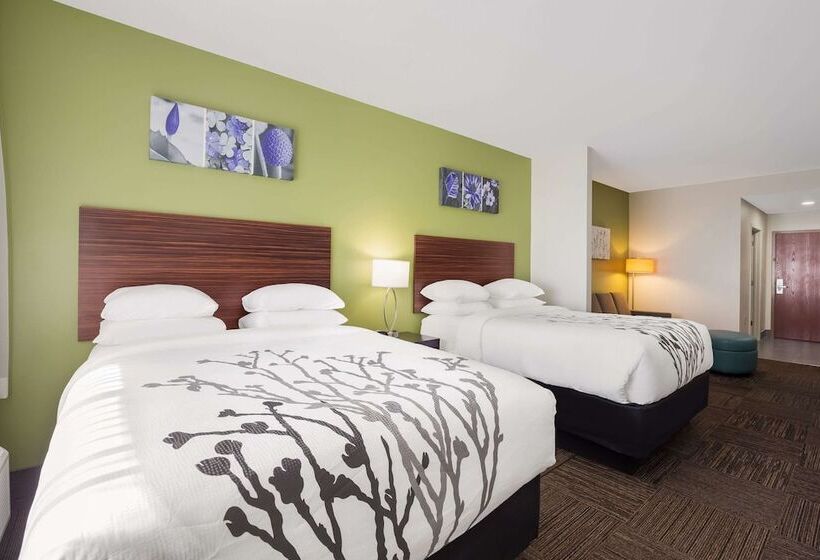 Люкс, Sleep Inn & Suites North Mobile Saraland
