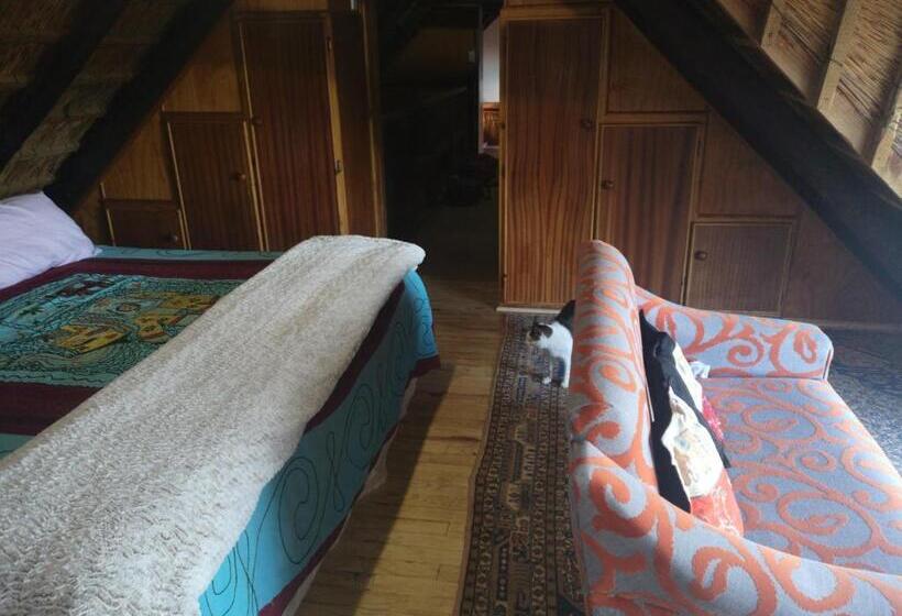 Номер Стандартный с Видом, Chilli Moon B&b