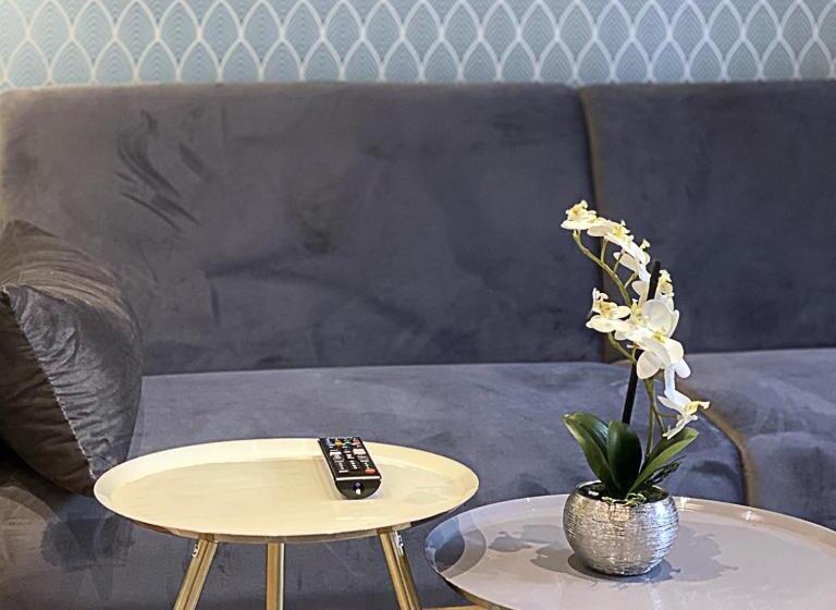 آپارتمان سوپریور 1 خوابه, Nurban Apartments Oldtown