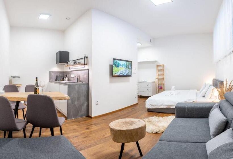 استودیو استاندارد با تخت کینگ, Apartmány Resort Vrchlabí