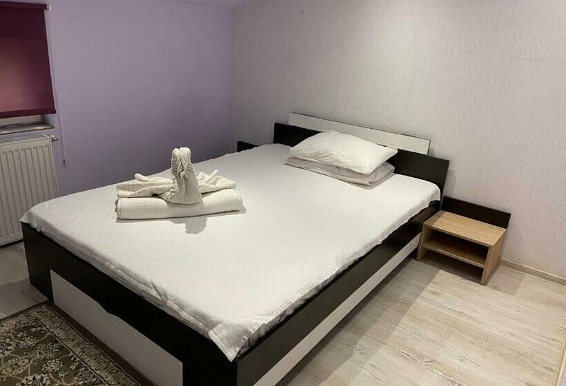 استودیوی استاندارد, Pensiunea Exotic