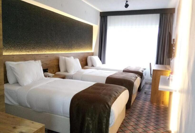 스탠다드 트리플 룸, Eskoppremium Otel
