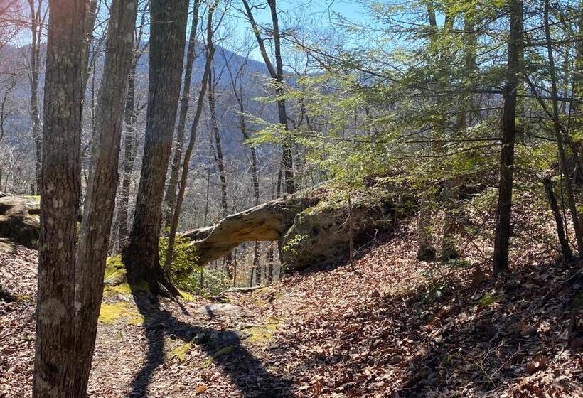 스위트 킹사이즈 침대, Pine Mountain Inn