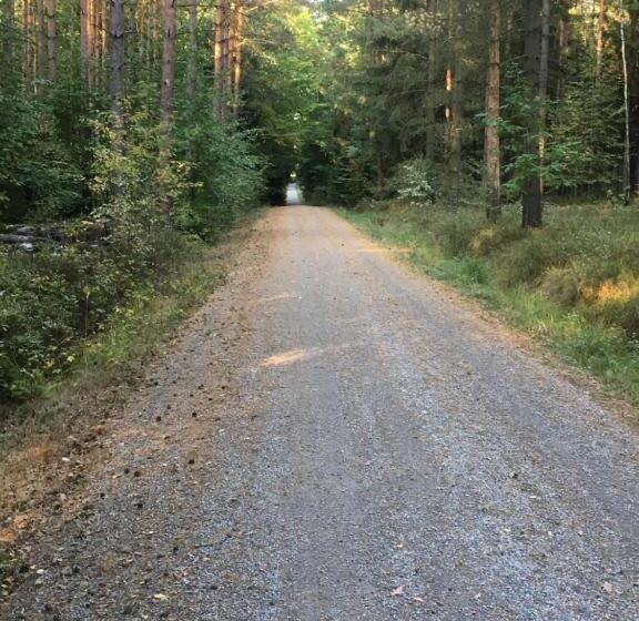 Номер Стандарт, Pension Haufe