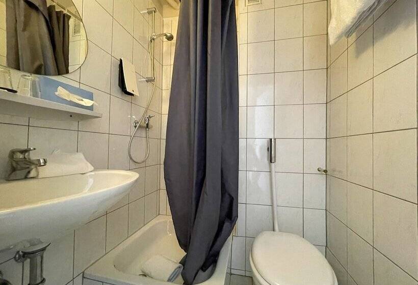 اتاق استاندارد, Sendlinger Tor