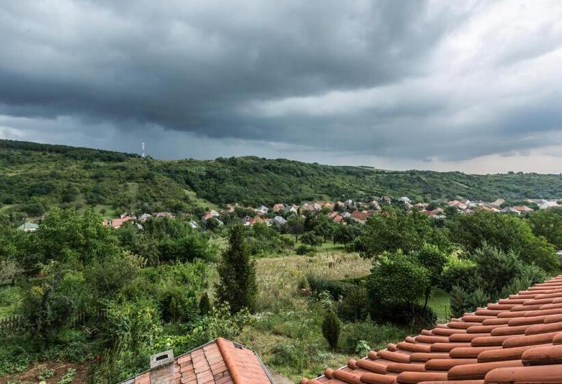 آپارتمان 1 خوابه با چشم‌انداز باغ, Napkert Apartman