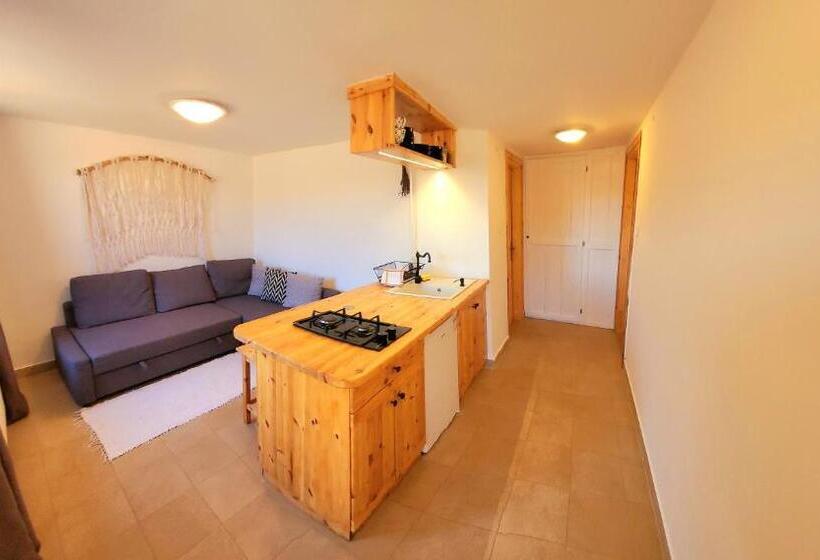 آپارتمان 1 خوابه همکف, Napkert Apartman