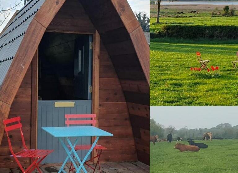 اتاق استاندارد با چشم‌انداز دریاچه, Glasson Glamping Farm