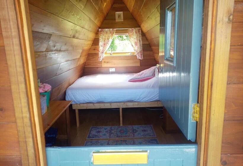 اتاق استاندارد با چشم‌انداز دریاچه, Glasson Glamping Farm