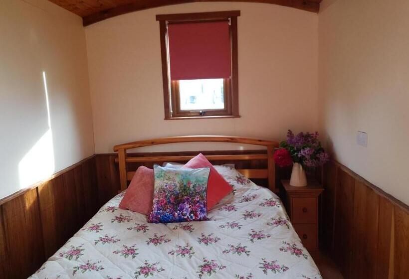 اتاق خانوادگی, Glasson Glamping Farm