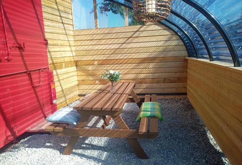 استودیو استاندارد با چشم‌انداز باغ, Glasson Glamping Farm