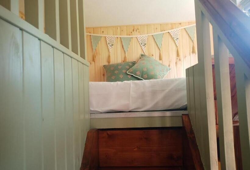 استودیو استاندارد با چشم‌انداز باغ, Glasson Glamping Farm