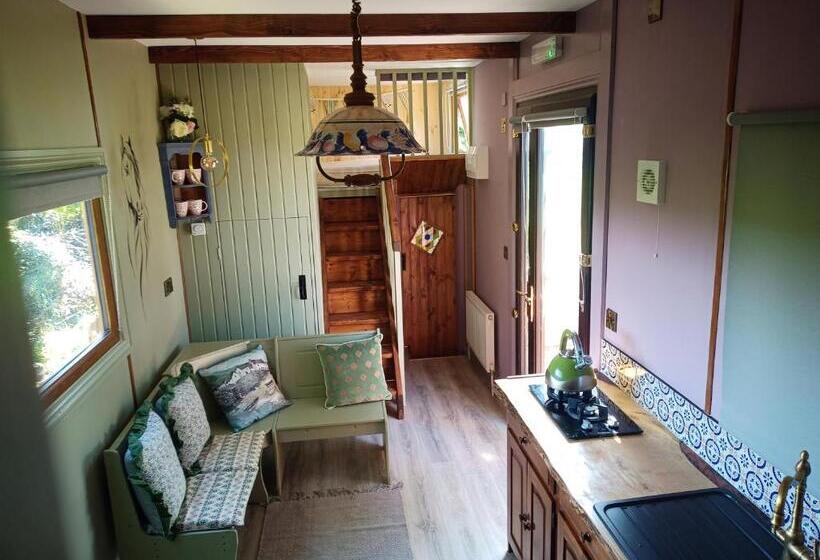 استودیو استاندارد با چشم‌انداز باغ, Glasson Glamping Farm