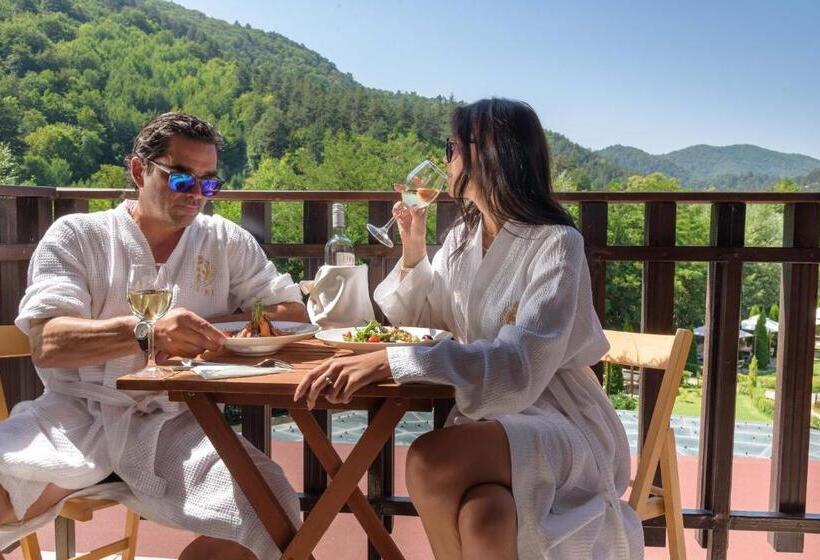 Номер Стандарт, St. Spas Hotel & Balneo Complex