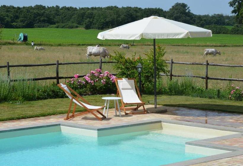 Апартаменты Deluxe 1 Спальня, Agriturismo La Ghiga