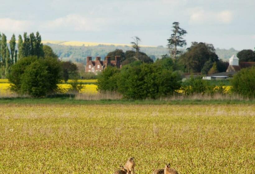 Номер Стандарт, Barnham Court Farm