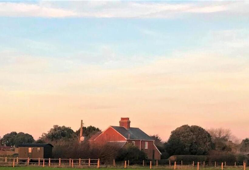 Номер Стандарт, Barnham Court Farm