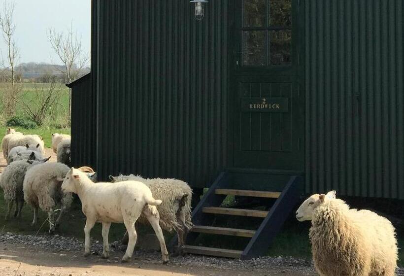 スタンダードルーム, Barnham Court Farm