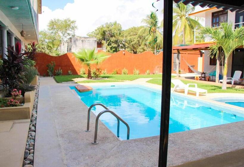 套房带泳池景, Coccoloba Guest House