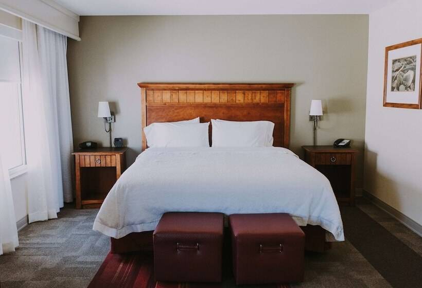 Студия Стандарт, Hampton Inn & Suites Green River