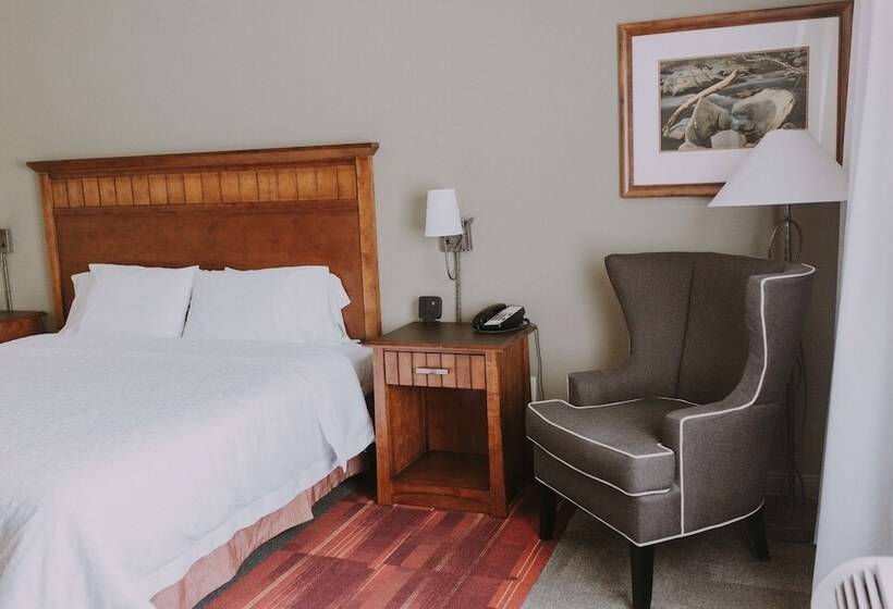 Номер Стандарт, Hampton Inn & Suites Green River