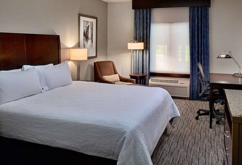 اتاق استاندارد یک تخته با تخت بزرگ, Hilton Garden Inn Gatlinburg