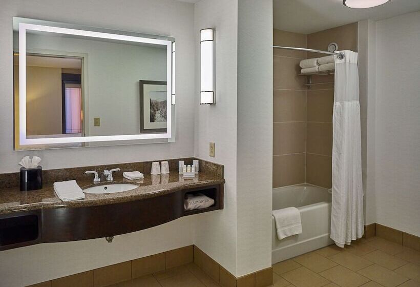 Pokój Jednoosobowy Standard Łóżko King Size, Hilton Garden Inn Gatlinburg