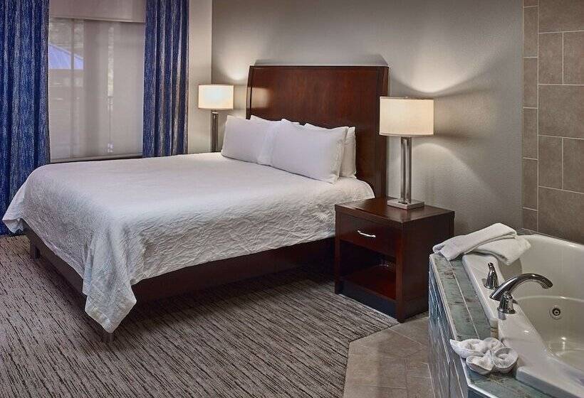 اتاق استاندارد یک تخته با تخت بزرگ, Hilton Garden Inn Gatlinburg