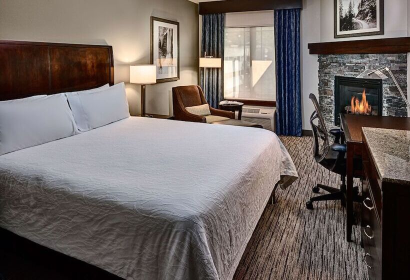 Pokój Jednoosobowy Standard Łóżko King Size, Hilton Garden Inn Gatlinburg