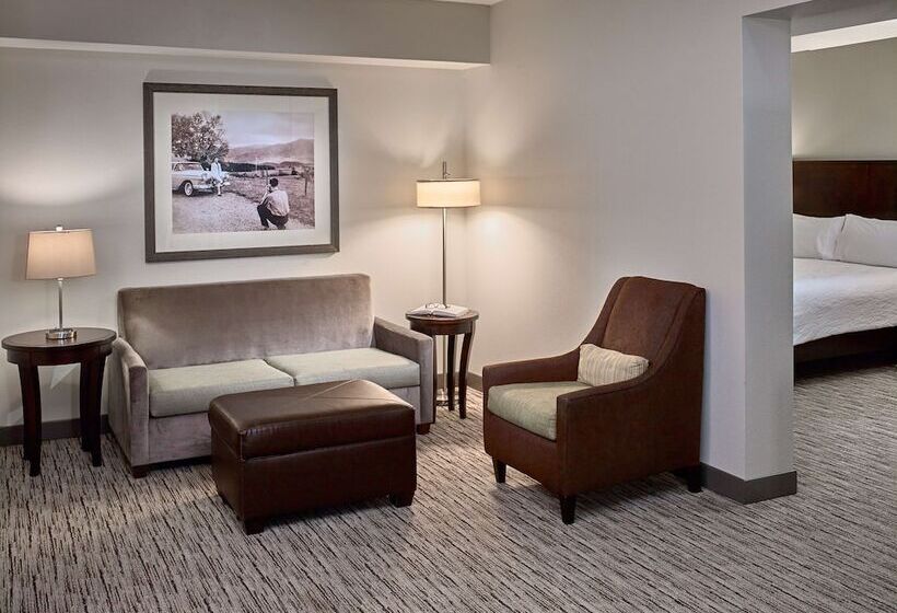 Junior Suite dla Osób Niepełnosprawnych, Hilton Garden Inn Gatlinburg