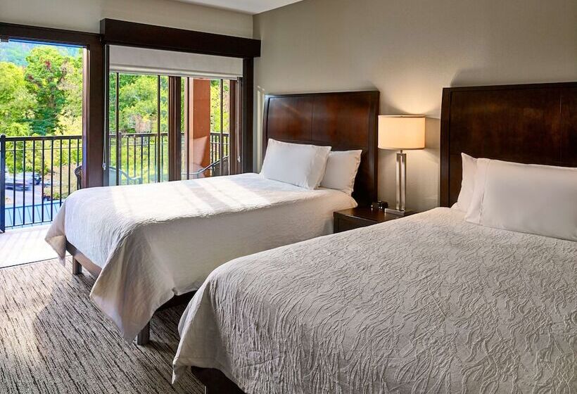 جناح جونيور سرير ملكى, Hilton Garden Inn Gatlinburg