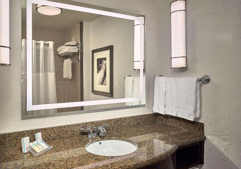 Pokój Standard Łóżko King Size, Hilton Garden Inn Gatlinburg