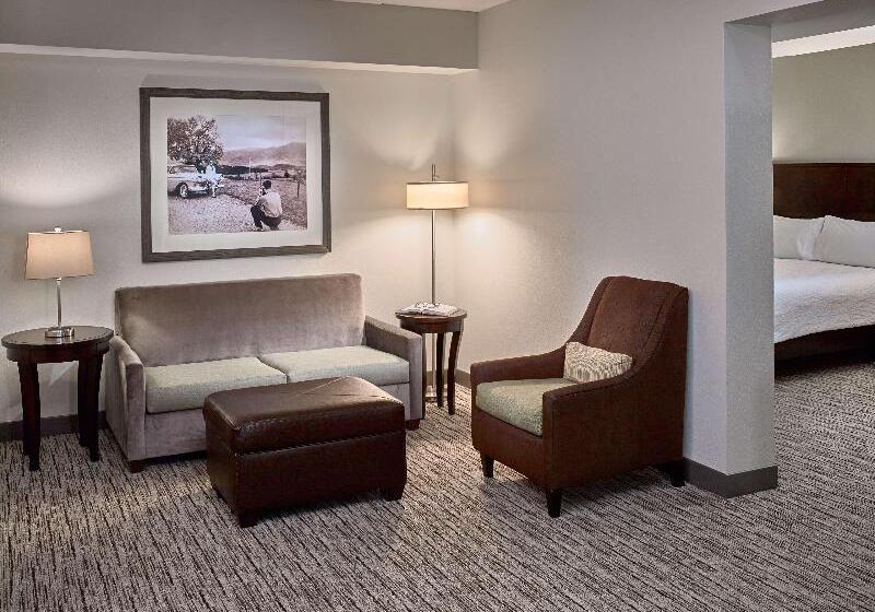 Junior Suite Queen Bed, Hilton Garden Inn Gatlinburg