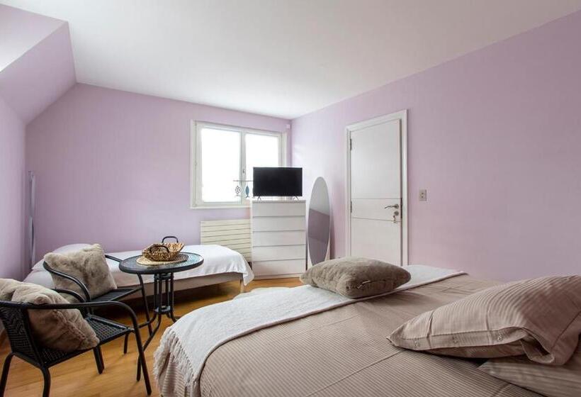 Люкс 2 Спальни, Villacosy Spa  Strasbourg Villa Dolce