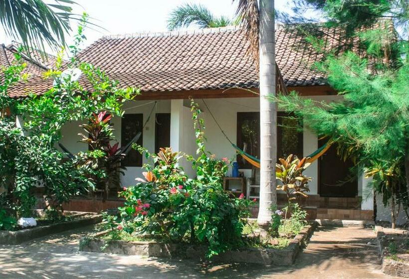 Номер Стандарт, Mellow Hostel