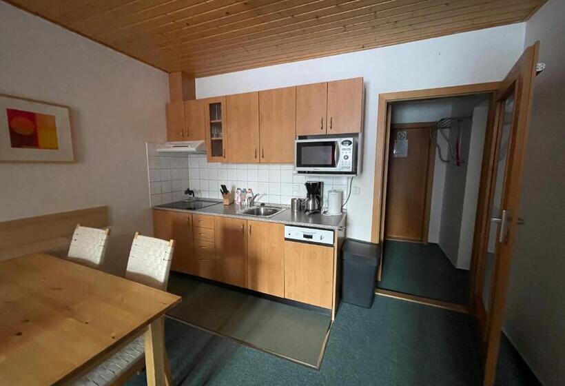 1 Bedroom Apartment Mountain View, Skiresort Pec Poustevnik