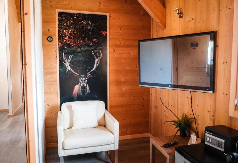 Номер Стандарт Совместная Ванная, La Villa D Hélène 2   Chambres D Hôtes Bnb Et Appartements   Cluses