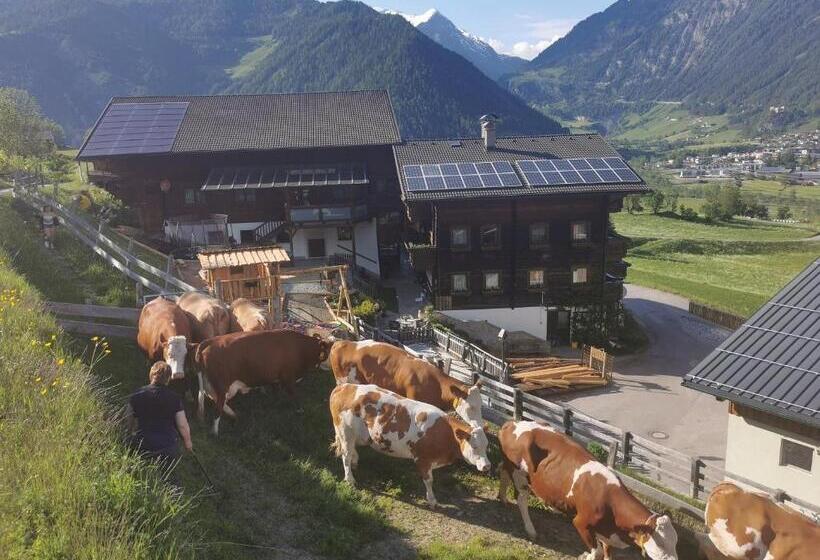 Апартаменты 1 Спальня, Bauernhof Bethuber